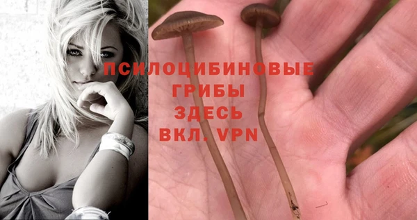 мяу мяу кристалл Алексин